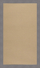 Capel Creative Concepts Sisal 1995 Canvas Slate Area Rug