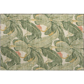 Dalyn Aloha AH11 Fern Area Scatter Rug