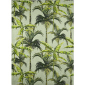 Dalyn Tropics TC10 Aloe Area Rug