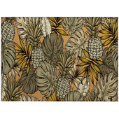 Dalyn Tropics TC11 Clay Area Scatter Rug