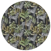 Dalyn Tropics TC13 Black Area Round Rug