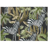 Dalyn Tropics TC13 Black Area Scatter Rug