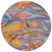 Dalyn Tropics TC14 Passion Area Round Rug