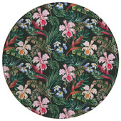 Dalyn Tropics TC6 Black Area Round Rug