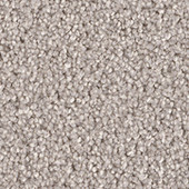 Star Struck Dove  Carpet Star Struck Dove  Carpet