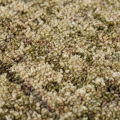 Dalyn Calisa CS5 Basil Area Rug Close Up Dalyn Calisa CS5 Basil Area Rug Close Up