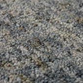 Dalyn Calisa CS5 Carbon Area Rug Close Up Dalyn Calisa CS5 Carbon Area Rug Close Up