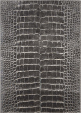 Nourison Maxell MAE09 Charcoal Area Rug Nourison Maxell MAE09 Charcoal Area Rug