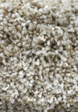 Stunning 758 Seashells Multi Tone carpet by Dreamweaver Stunning 758 Seashells Multi Tone carpet by Dreamweaver