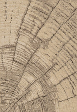 Eclipse 63205/6333 Multi Silver Area Rug by Dynamic Rugs Eclipse 63205/6333 Multi Silver Area Rug by Dynamic Rugs