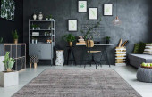 Dynamic Rugs Torino 3314-190 Light Grey Area Rug Room Scene Dynamic Rugs Torino 3314-190 Light Grey Area Rug Room Scene