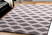 Dynamic Rugs Silky Shag 5904-119 White/Silver Area Rug Room Scene Dynamic Rugs Silky Shag 5904-119 White/Silver Area Rug Room Scene
