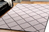 Dynamic Rugs Silky Shag 5920-110 Ivory/Silver Area Rug Room Scene Dynamic Rugs Silky Shag 5920-110 Ivory/Silver Area Rug Room Scene