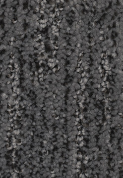 Mohawk Style Stamina - Sable Evening Carpet