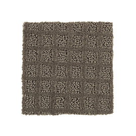 Sensational Idea Soft Taupe by Mohawk Industries - Cathedral City and Indio  - Carpet Empire Plus