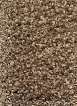 Truly Silk 11 (T) Multi Tone carpet by Mohawk