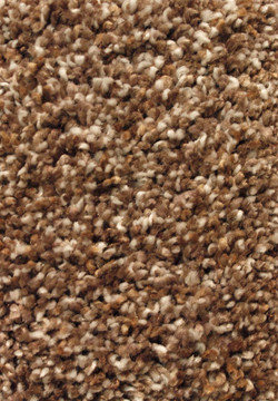 Truly Silk 06 (F) Multi Tone carpet by Mohawk