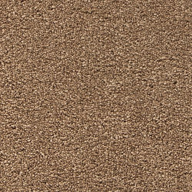 Mohawk Stylish Story I - Velvet Brown Carpet