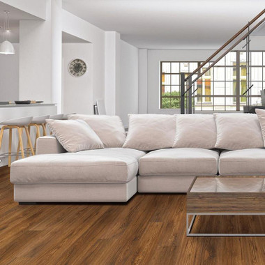 vv024-00715_Room__50273.