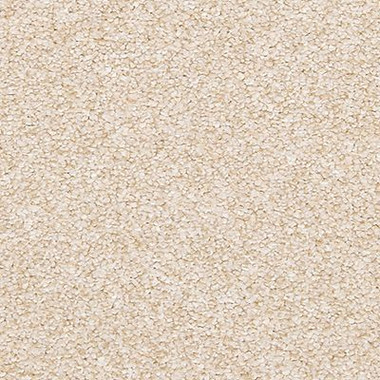 Mohawk Dynamic Quality II - Sheepskin | Carpetmart.com - Carpet