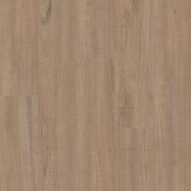 Shaw Floors Floorte Pro Anvil Plus 20 Mil 2357V 00295 Chatter Oak