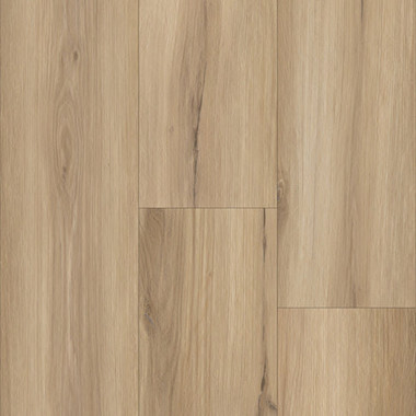 Masland Pinnacle P2244-M2504 2504 Wellington Oak 12