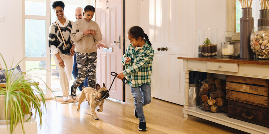 Best Flooring for Dogs