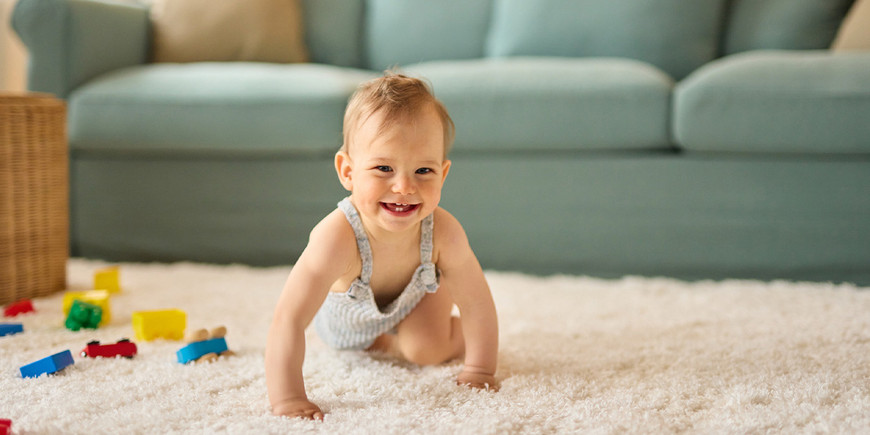Hypoallergenic Carpet Guide