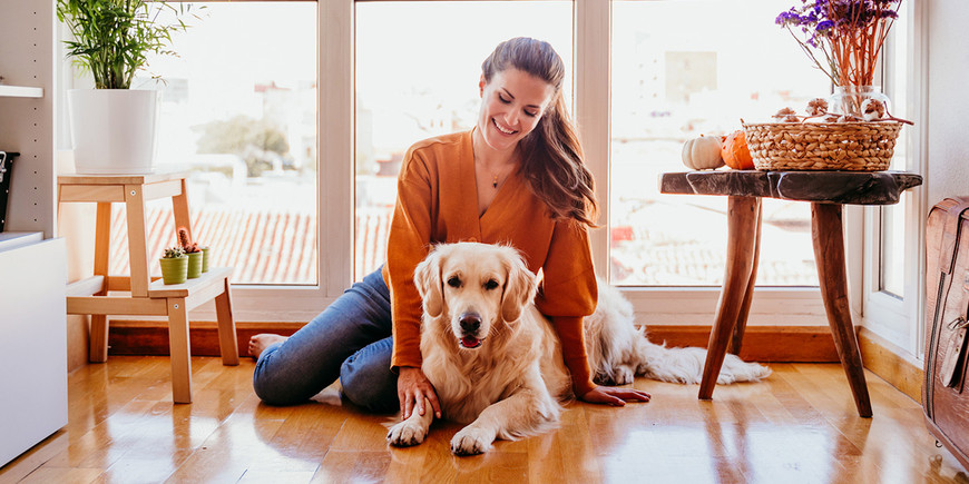 What’s the Easiest Type of Flooring to Clean with Pets That Shed a Lot?