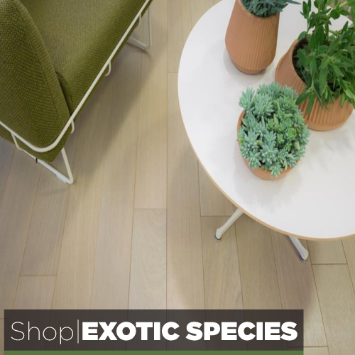 Exotic Species