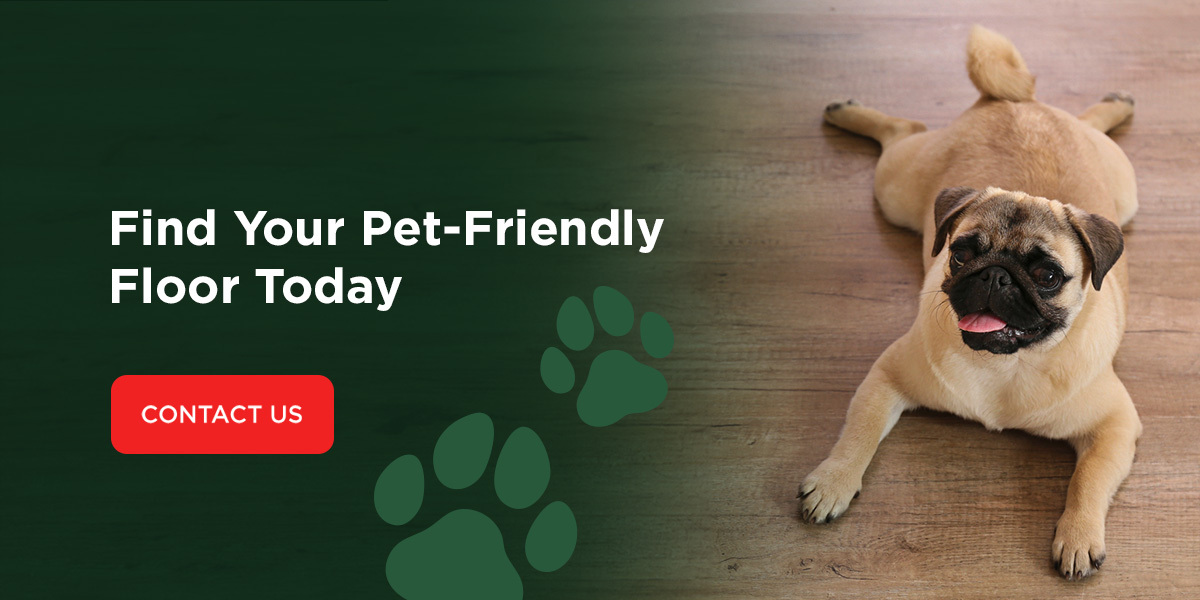 find your pet-friendly floor today