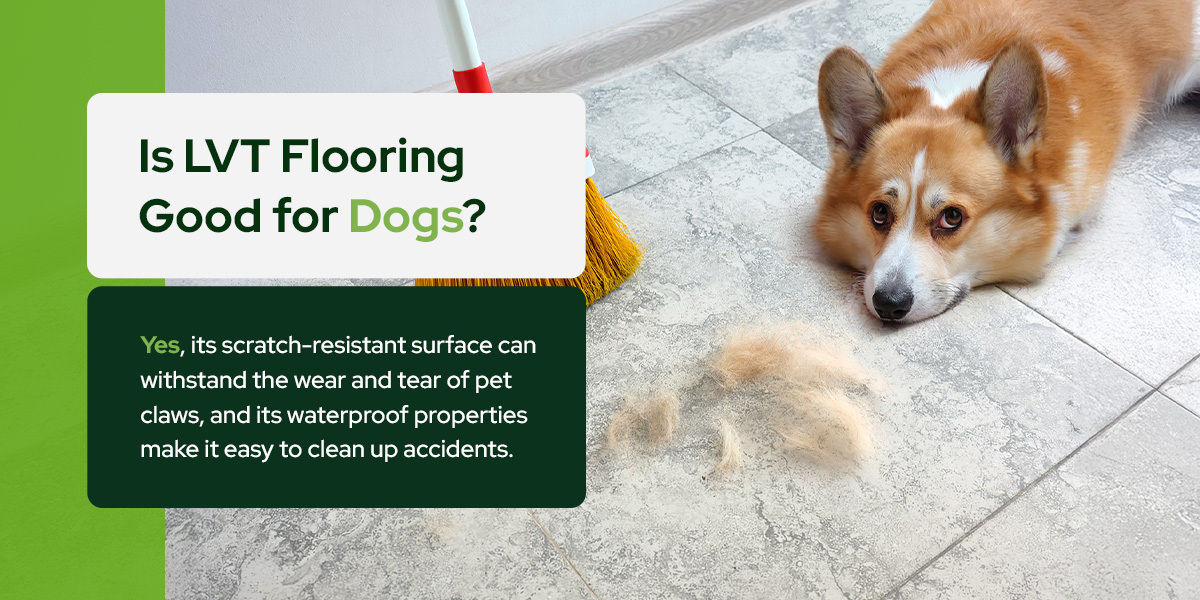 is lvt flooring good for dogs