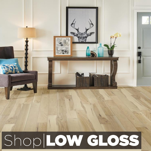 Low Gloss