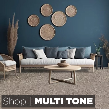multi-tone