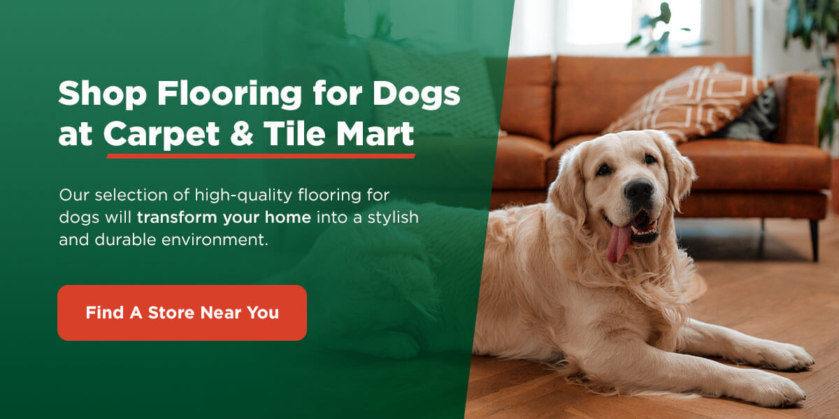 shop flooring for dogs at Carpet & Tile Mart