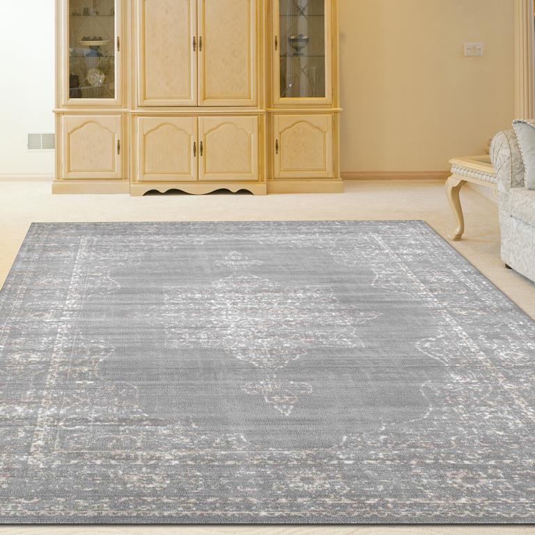 Radici Colosseo 3563 Grey Area Rug Room Scene