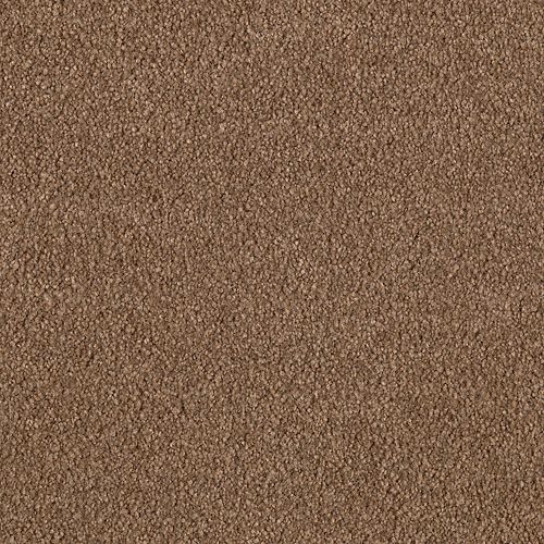 Karastan Imperial Plaza - Safari Plains Carpet