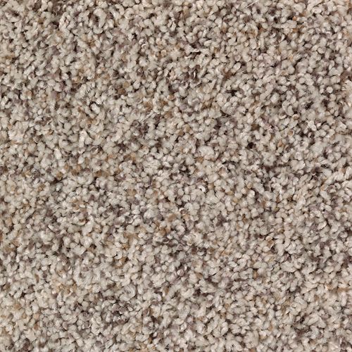 Mohawk Savvy Approach - Windswept Carpet