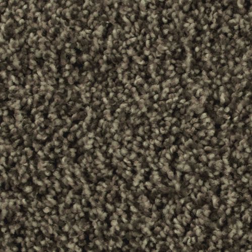 Mohawk Artistic Allure - Dakota Dawn Carpet