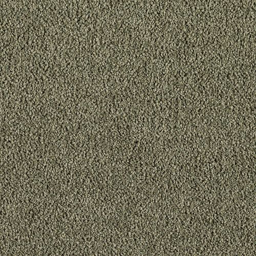 Karastan Indescribable - Olive Green Carpet