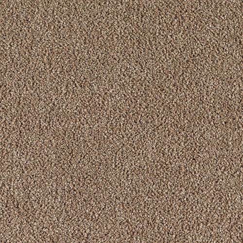 Karastan Indescribable - Lush Suede Carpet