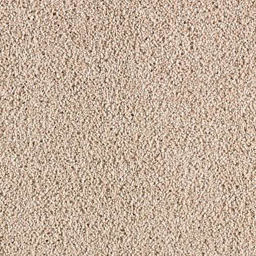 Karastan Simply Spectacular - Toasted Almond Carpet