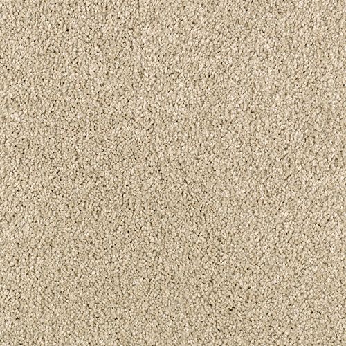 Karastan Enhanced Beauty - Water Chestnut Carpet