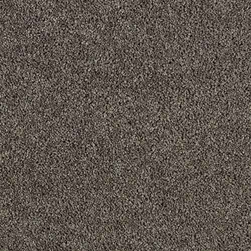Karastan Delicate Finesse - Enduring Sable Carpet