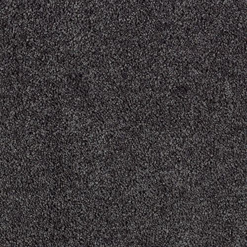 Karastan Delicate Finesse - Armor Carpet