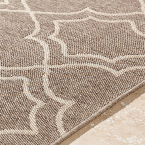 Surya Alfresco ALF-9587 Area Rug Edge