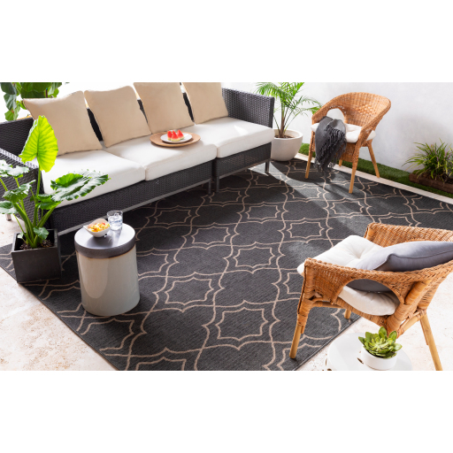 Surya Alfresco ALF-9590 Area Rug Room Scene