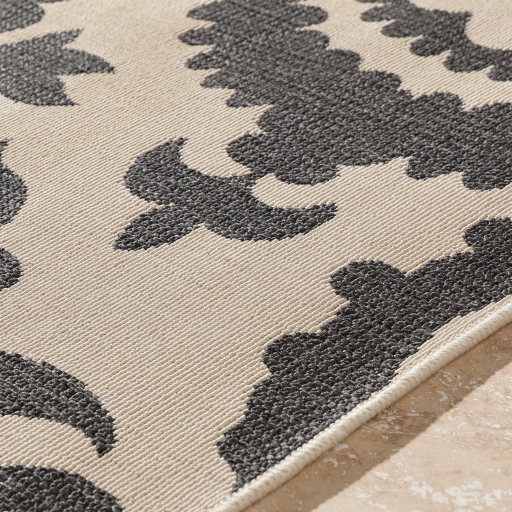 Surya Alfresco ALF-9612 Area Rug Edge