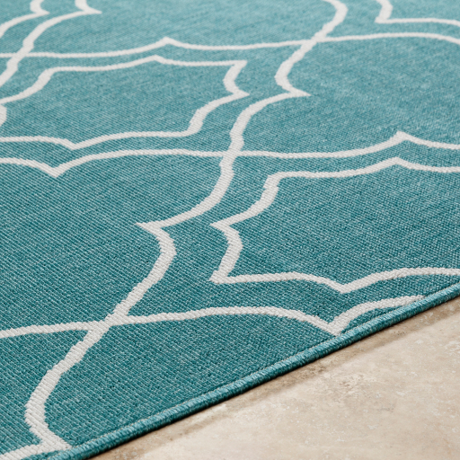 Surya Alfresco ALF-9653 Area Rug Edge