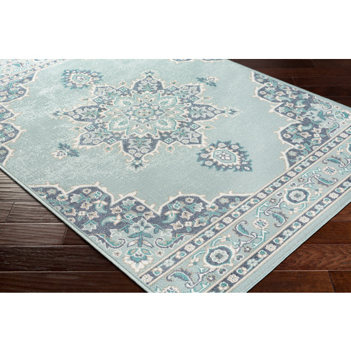 Surya Alfresco ALF-9687 Area Rug on Angle